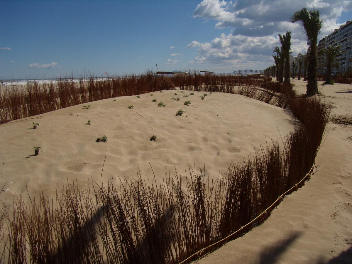 Beach & Port Gandía Exteriör bild